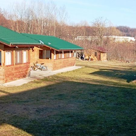 Vila La Livada Valea Danului Exteriér fotografie