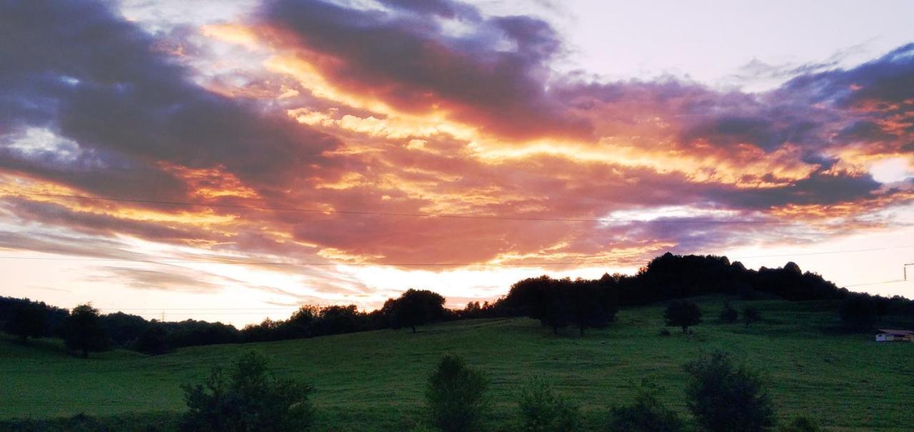 Vila La Livada Valea Danului Exteriér fotografie