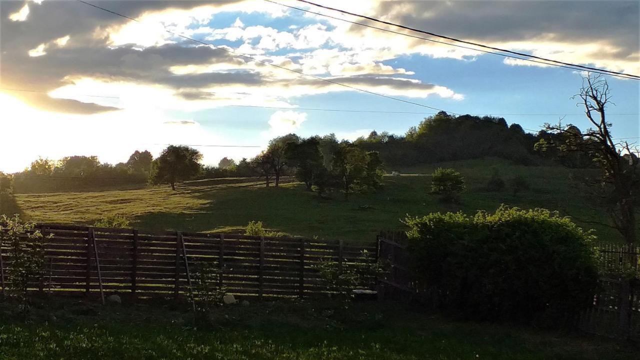Vila La Livada Valea Danului Exteriér fotografie