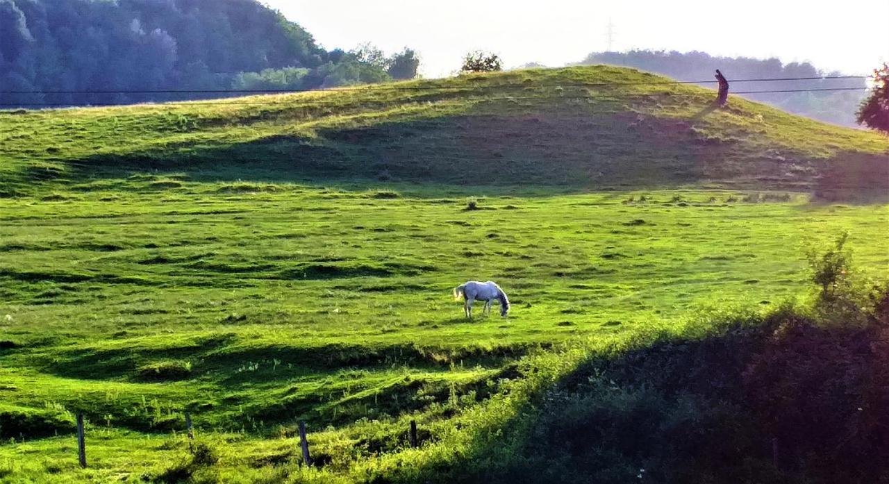 Vila La Livada Valea Danului Exteriér fotografie