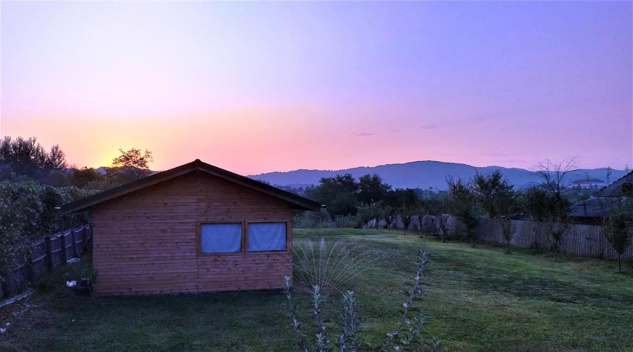 Vila La Livada Valea Danului Exteriér fotografie