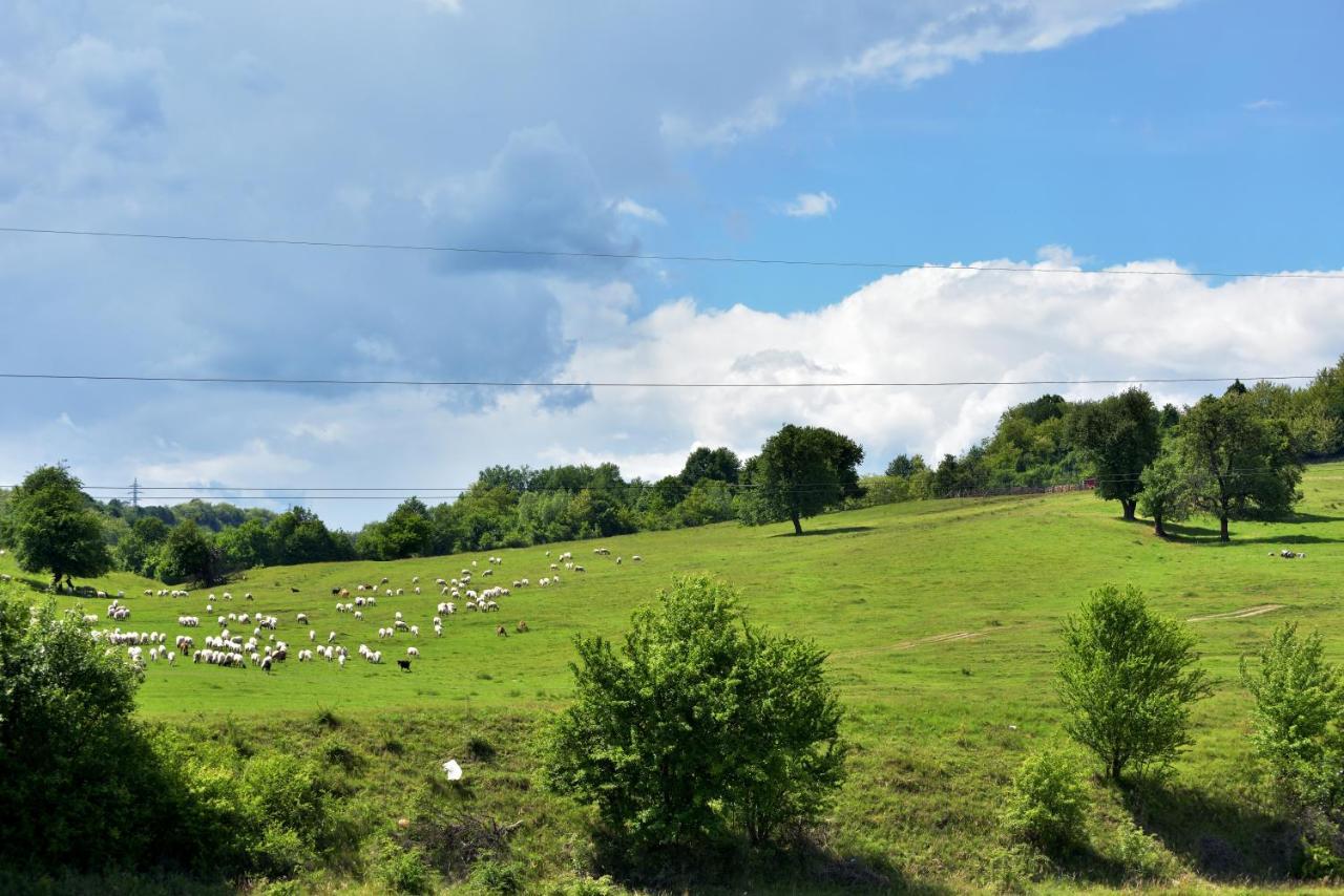 Vila La Livada Valea Danului Exteriér fotografie