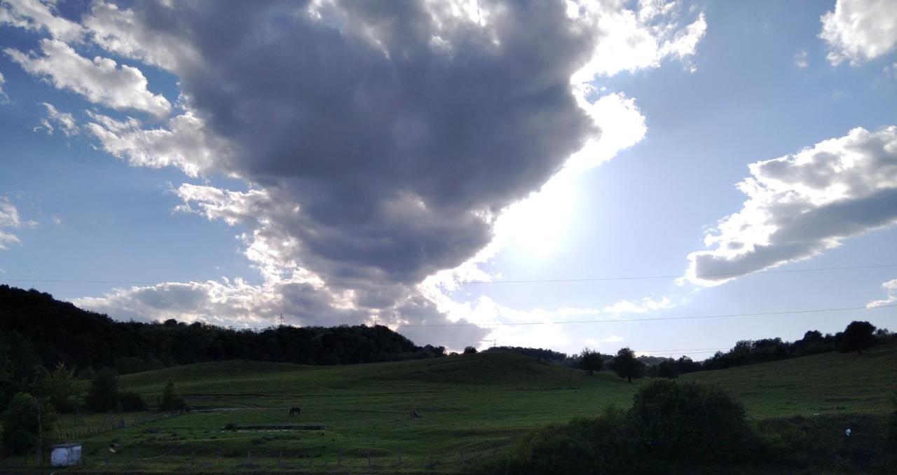 Vila La Livada Valea Danului Exteriér fotografie
