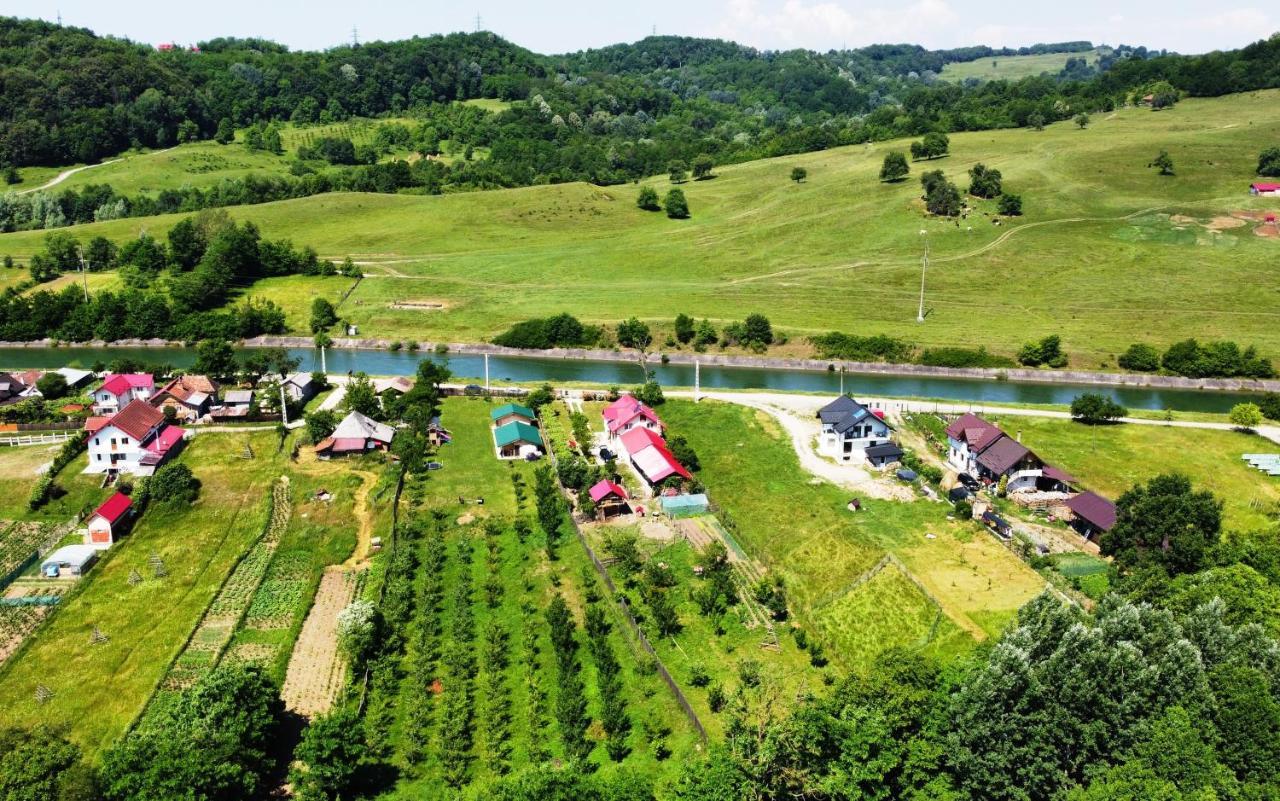 Vila La Livada Valea Danului Exteriér fotografie
