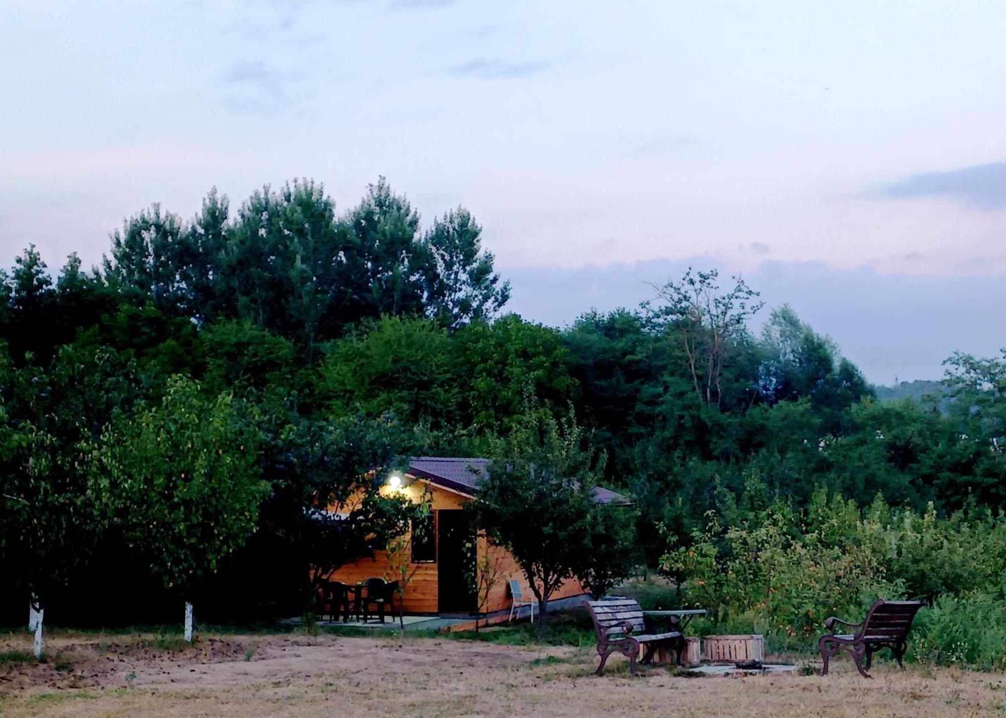 Vila La Livada Valea Danului Exteriér fotografie